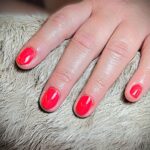 nagelbijter